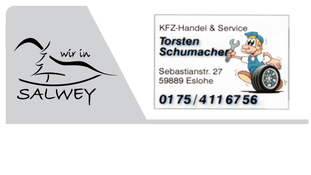 Logo-Torsten Schumacher - KFZ Handel u. Service
