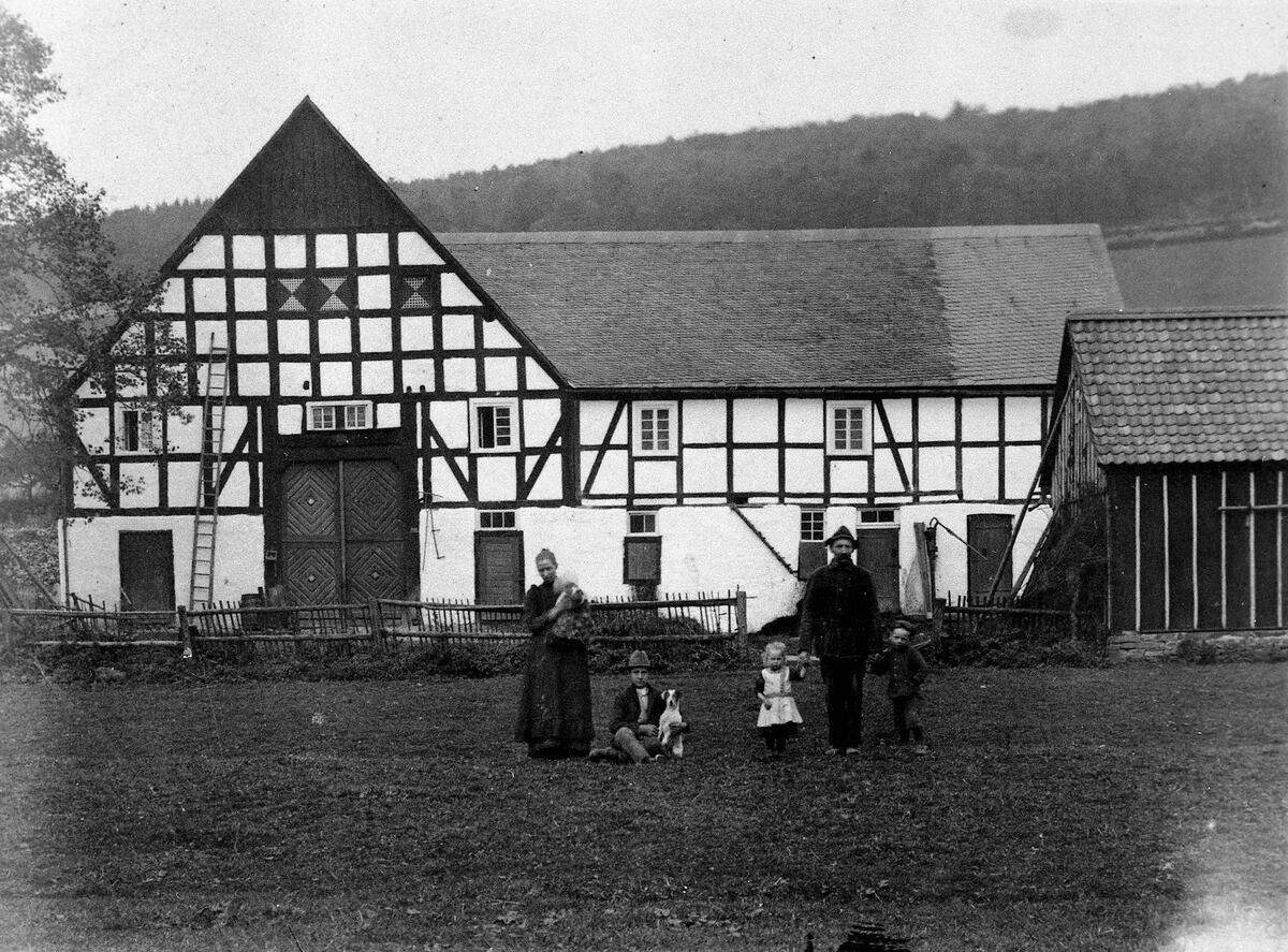 Sauers Freien