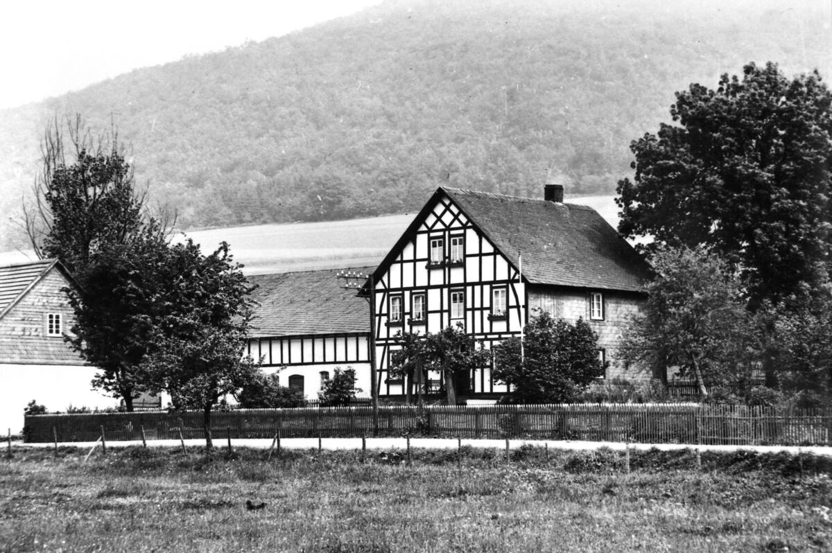 Droste Nierschulte