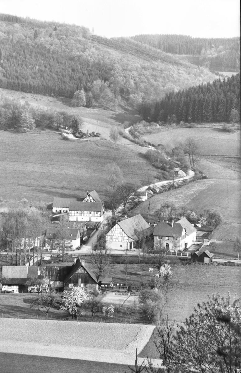 Blick In Die Romke