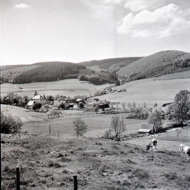 Blick auf