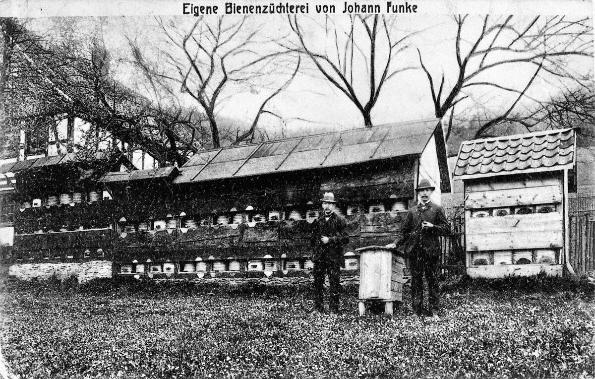 Bienenzüchterei Johann Funke